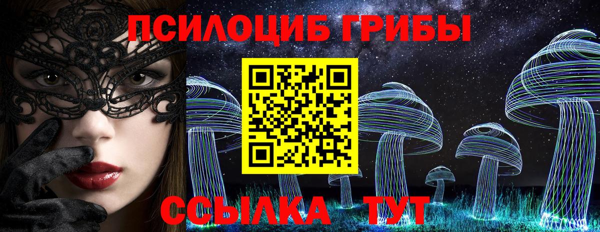 Псилоцибиновые грибы GOLDEN TEACHER Новокуйбышевск