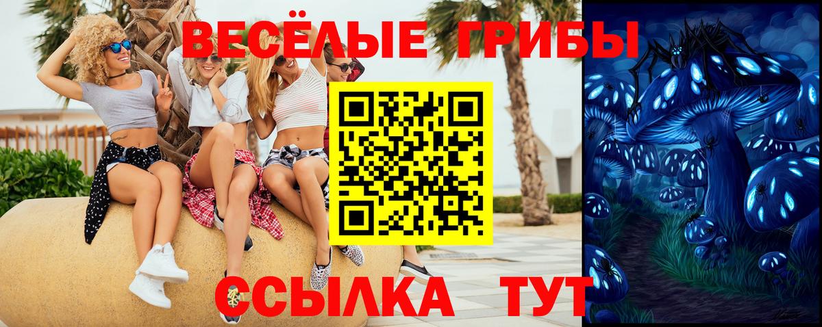 Галлюциногенные грибы Magic Shrooms  Вход с VPN  Новокуйбышевск 
